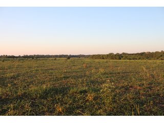 Tract 6 - Stillwater, OK farmland - EXCITING LAND AUCTION! - 128 +/- ACRES OFFERED IN 7 TRACTS OFF HIGHWAY 51 IN STILLWATER, OKLAHOMA